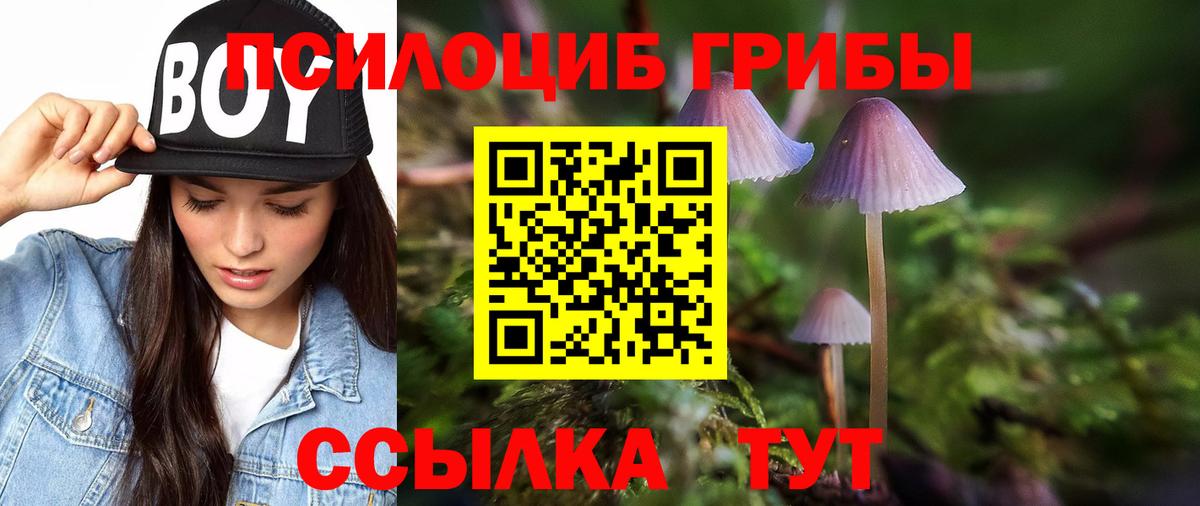 Киржач  Псилоцибиновые грибы Magic Shrooms  Вход с VPN 